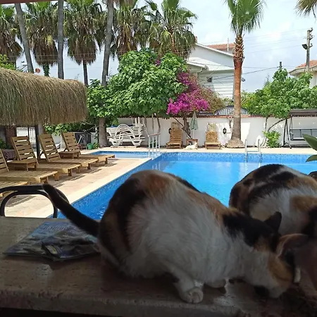 Isil Lejlighedshotel