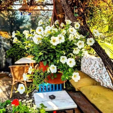 Апарт-отель Isil Дальян