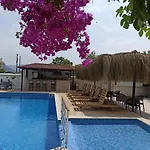 Isil Dalyan